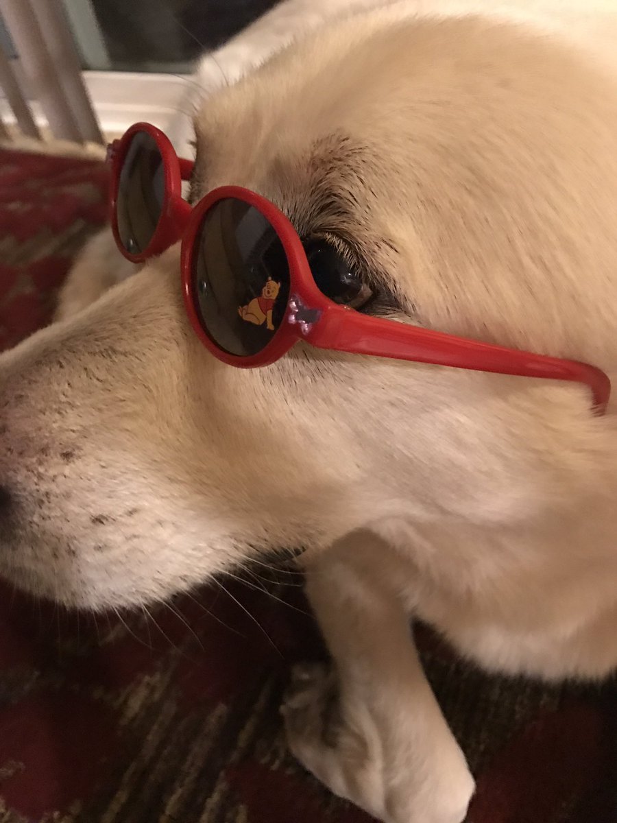 cptngoop's tweet photo. @ all of Milo's fans https://t.co/5bwpcGZYUp