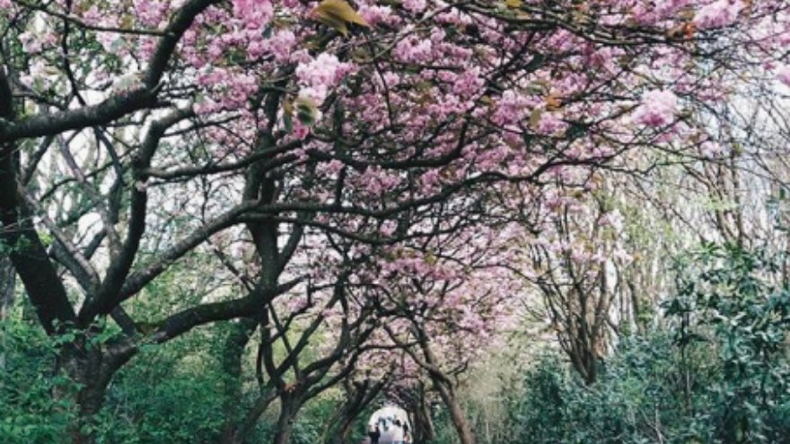 Hey guys - we're sending the love North lovinmanchester.com/feature/35-rea…