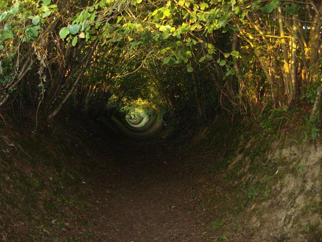 Holloways, The - Happiness And Penniless Holloways, The - Happiness And Penniless
