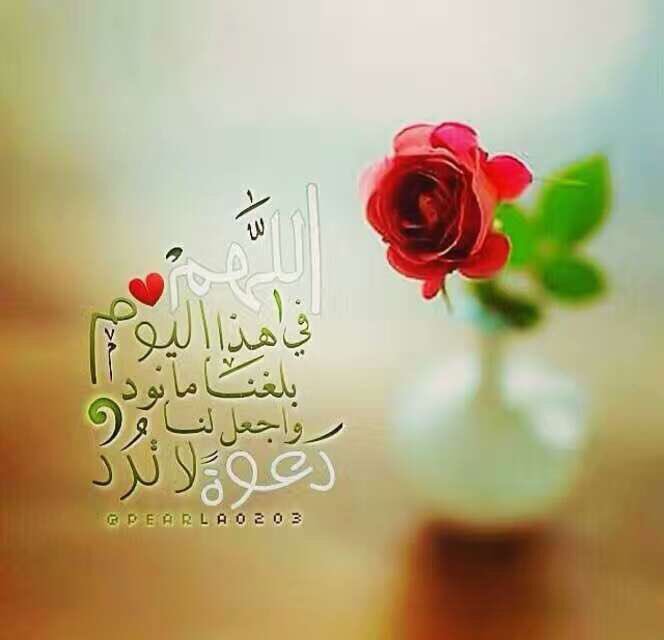 صـۣۛـبۣۛـ﴿أإلۣۛـۣۛـورد🌺ۭۢ﴾ۣۣۙـاحـۣۛـہۛۦ✿⇣ ۭۢ😻❤️🔕 
يسعدلي صباحكم بالخير 
جمعه مباركه 🌹🙏🏻
