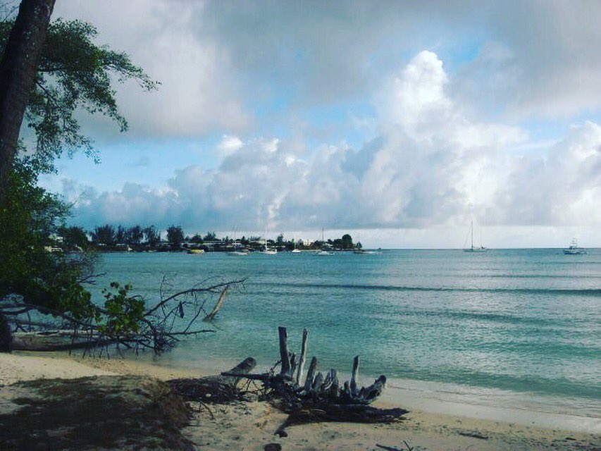 shivanibanfal's tweet photo. Can't wait to go back home in the offseason #CountdownToTrinidad https://t.co/7Vp7NYfUOB
