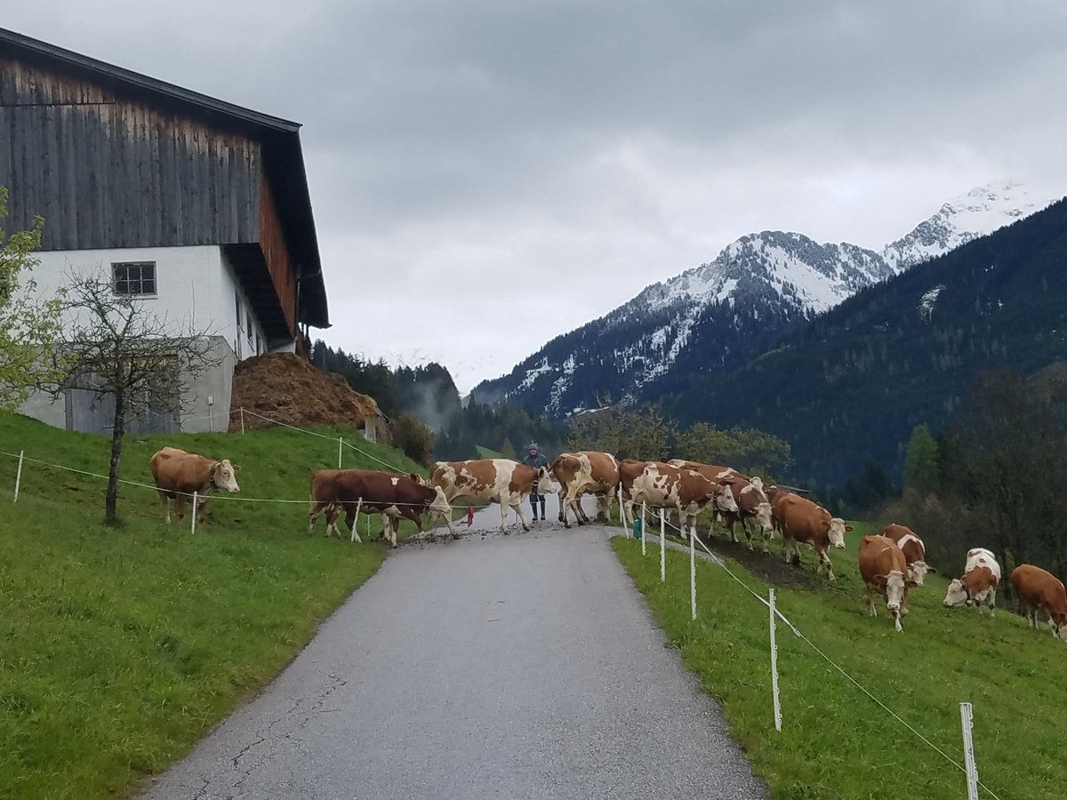 itsmegeeker's tweet photo. Traffic jam in Alpbach at the sold out #cudatechsummit https://t.co/bG817EL9sD