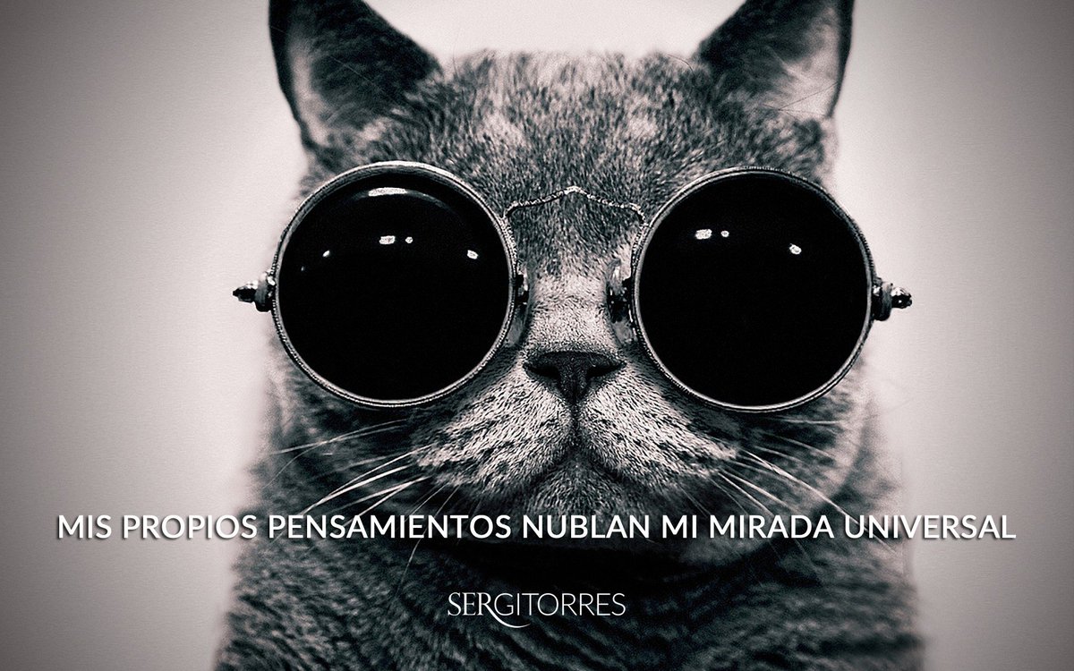 SergiTorres33's tweet photo. Mis propios pensamientos nublan mi mirada universal. Los pensamientos personales ofrecen un prisma concreto de la realidad que es universal. https://t.co/TXIzhhBCE8