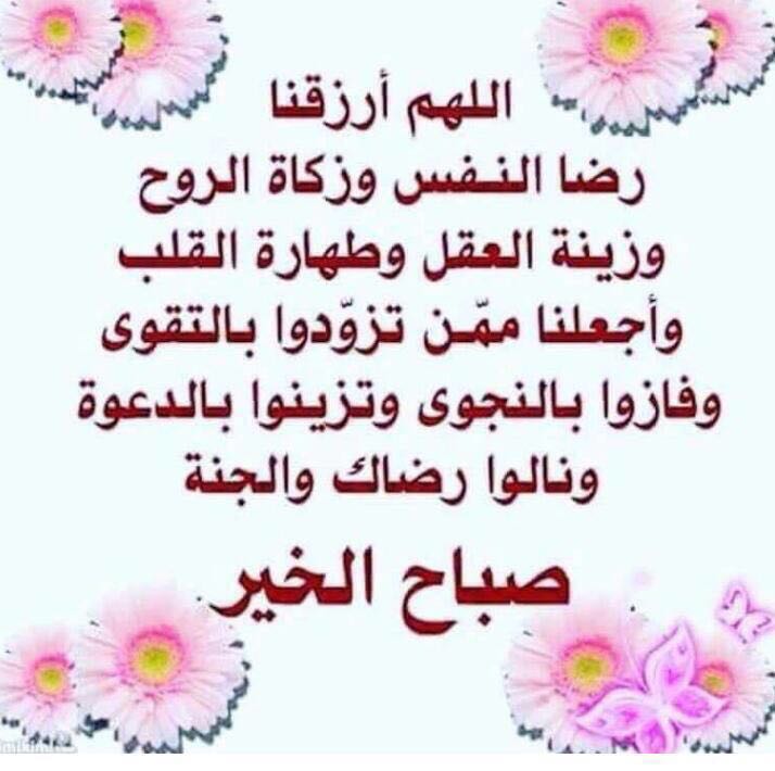 Ali7mo1's tweet photo. @mmmmo92767119 https://t.co/vaTJWhZONb