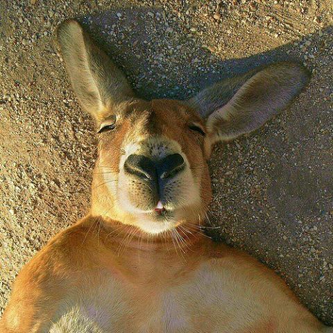 shorty_uli62's tweet photo. #FridayYeah https://t.co/ULoh9hEpiS