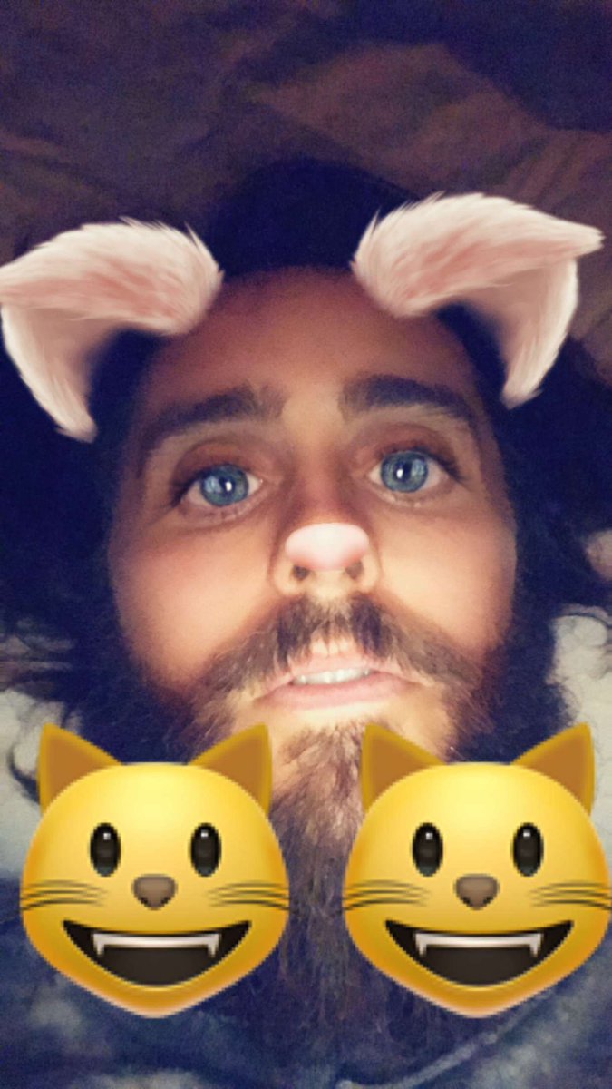 JaredLeto's tweet image. 😸👹😸