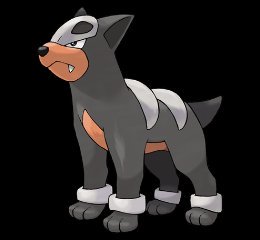 Pokenidos_PM's tweet photo. #Houndour (228):
• Tipo: Siniestro / Fuego
• Localización: Parque Uranga https://t.co/aA41J1JC9z