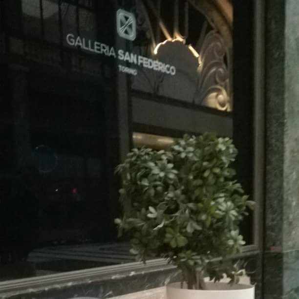 DMgianfranco73's tweet photo. #turin #torino #torinoèlamiacittà #torino #followme #followme#follow4follow #comment4like #follow4follow #commet4like #comment4like #comment https://t.co/Xa4jn9X9Zj