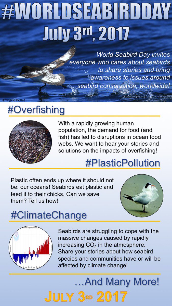 Seabirders's tweet photo. Important announcement from @GrantHumphries on #SeabirdChat. Pls put an x in your calendar for #WorldSeabirdDay on 3 July #SeabirderSaturday https://t.co/5JYfXTOy3K