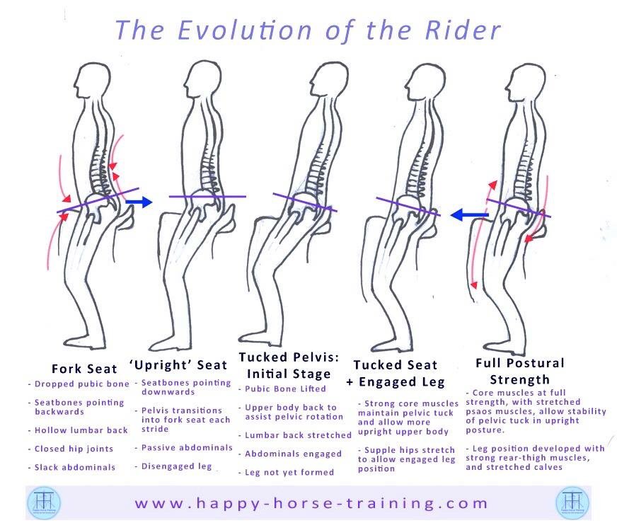 rivendalephysio's tweet photo. Our Pilates classes or 1:1 sessions can help achieve full postural strength. This is not only important for you but also your horse! https://t.co/dxRHb1Prxq