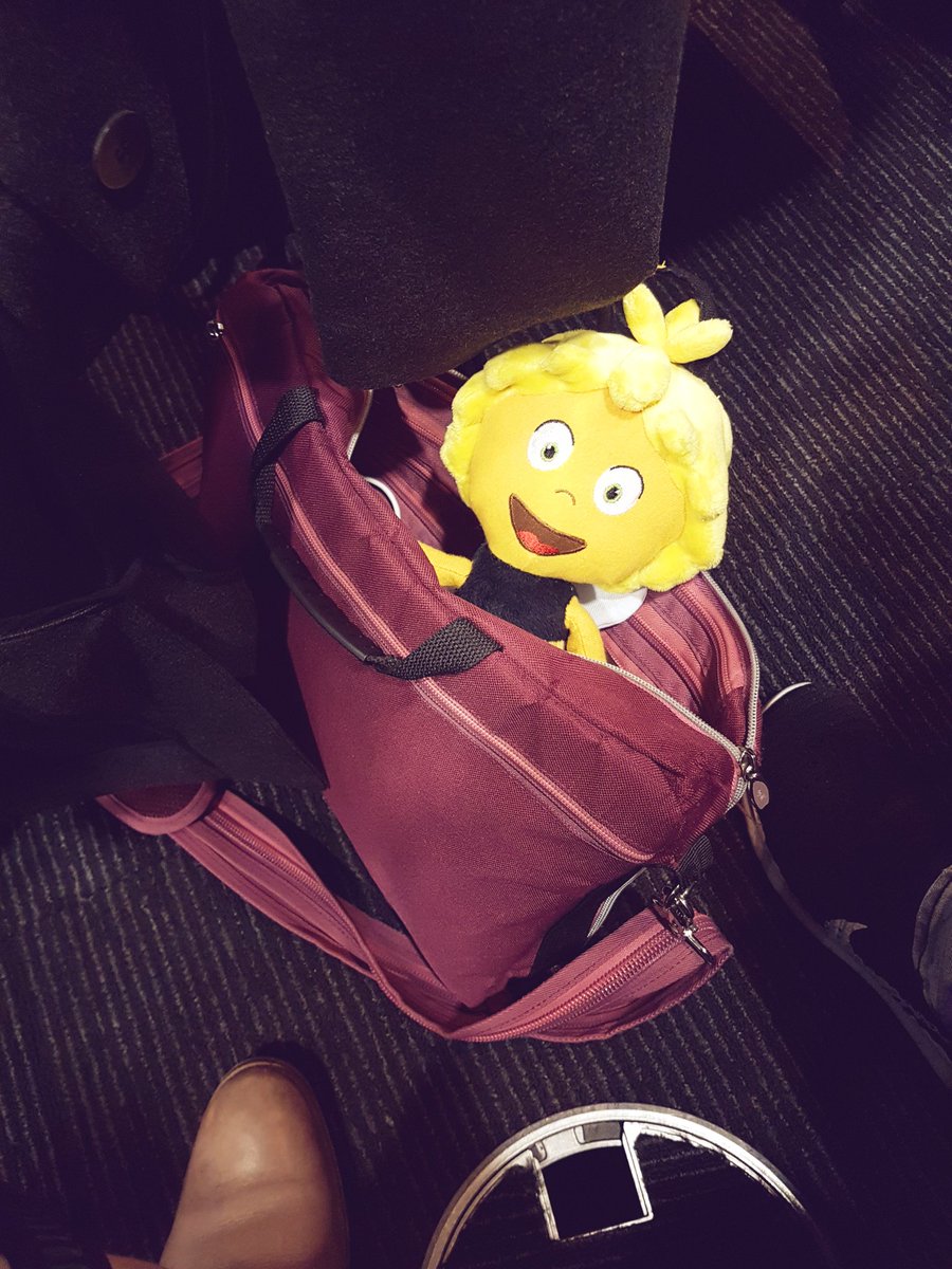 _Miasmo's tweet image. Maja wants to get some fresh air talking about #edubern and why teachers need to be like bees (Session2.6) #IST2017 #PiLSchweiz #mieexpert