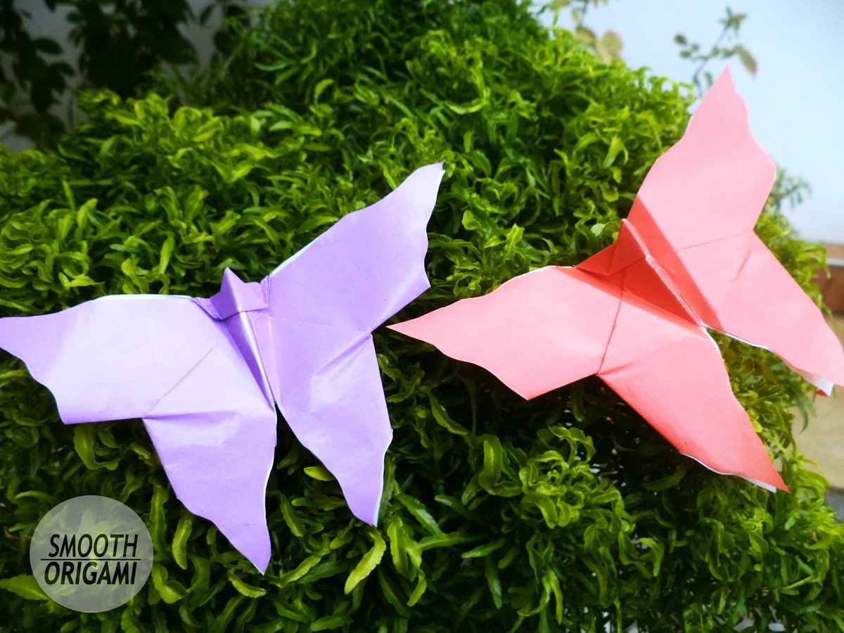 SmoothOrigami's tweet image. Do you like to make these origami butterflies ?
New video is coming soon....
If you want to watch it please subscribe smooth origami channel