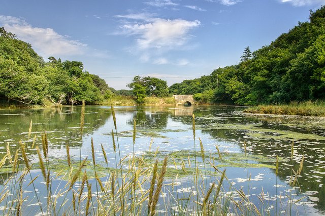 IOWTravelAMB's tweet photo. Come and #Explore 147 square miles of #PureIslandHappiness @VisitIOW #AONB #IsleWalk17 #Bus #Bike #Boots 🚌🚲👣 #DLSM https://t.co/SBsPDRoXZg