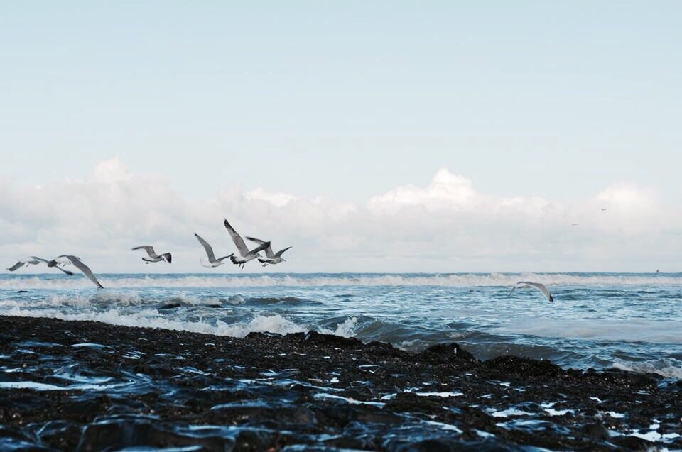 Eb&Vloed Lifestyle tweet media