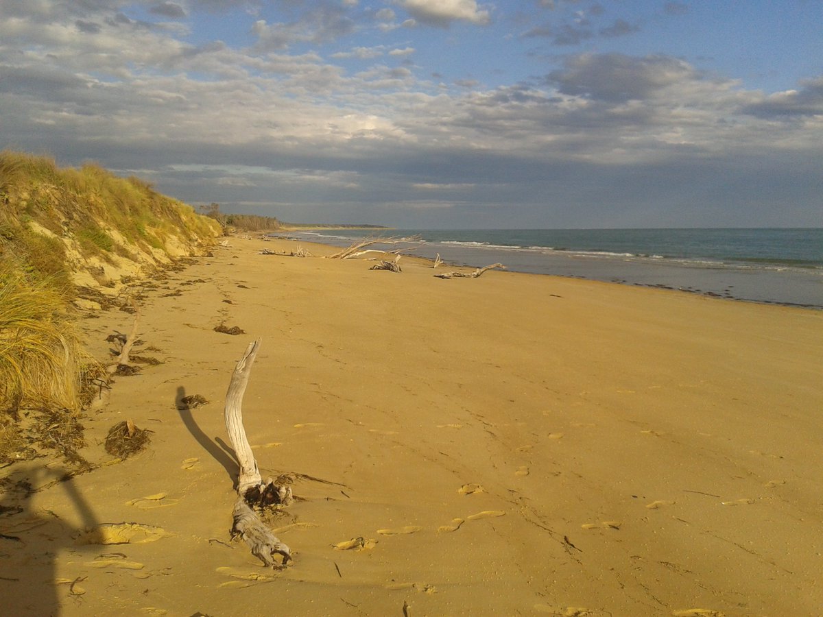 Going_Solar's tweet image. Victorian Walking Festival - Hundreds of Walks - on until May 15 See full program at victorianwalkingfestival.com.au  #walks #Melbourne #Victoria