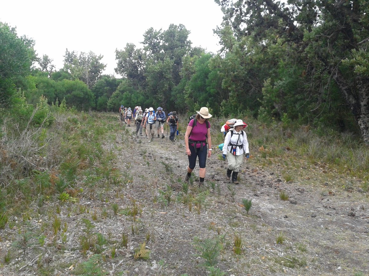 Going_Solar's tweet image. Victorian Walking Festival - Hundreds of Walks - on until May 15 See full program at victorianwalkingfestival.com.au  #walks #Melbourne #Victoria