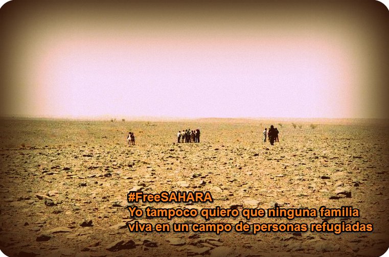 Sahara_1951 tweet picture