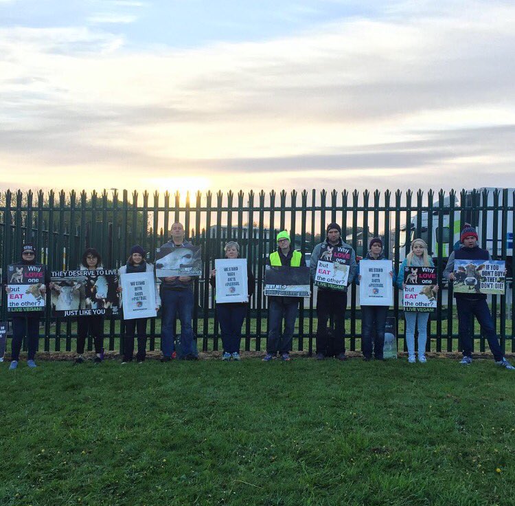 aclareart's tweet image. Sunrise over the slaughterhouse....we were standing in solidarity with Anita yesterday at a North East Animal Save vigil #pigtrial