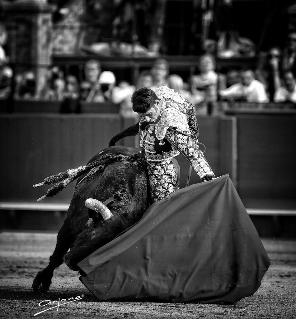 Alejandro Talavante tweet media