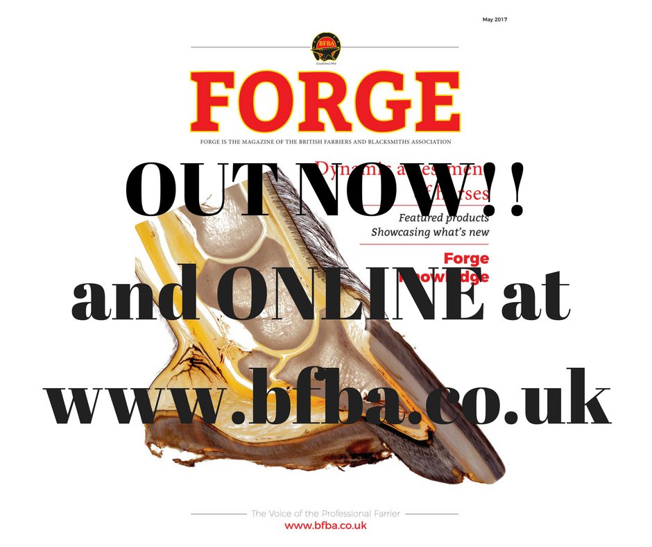 Claire Brown on Twitter: