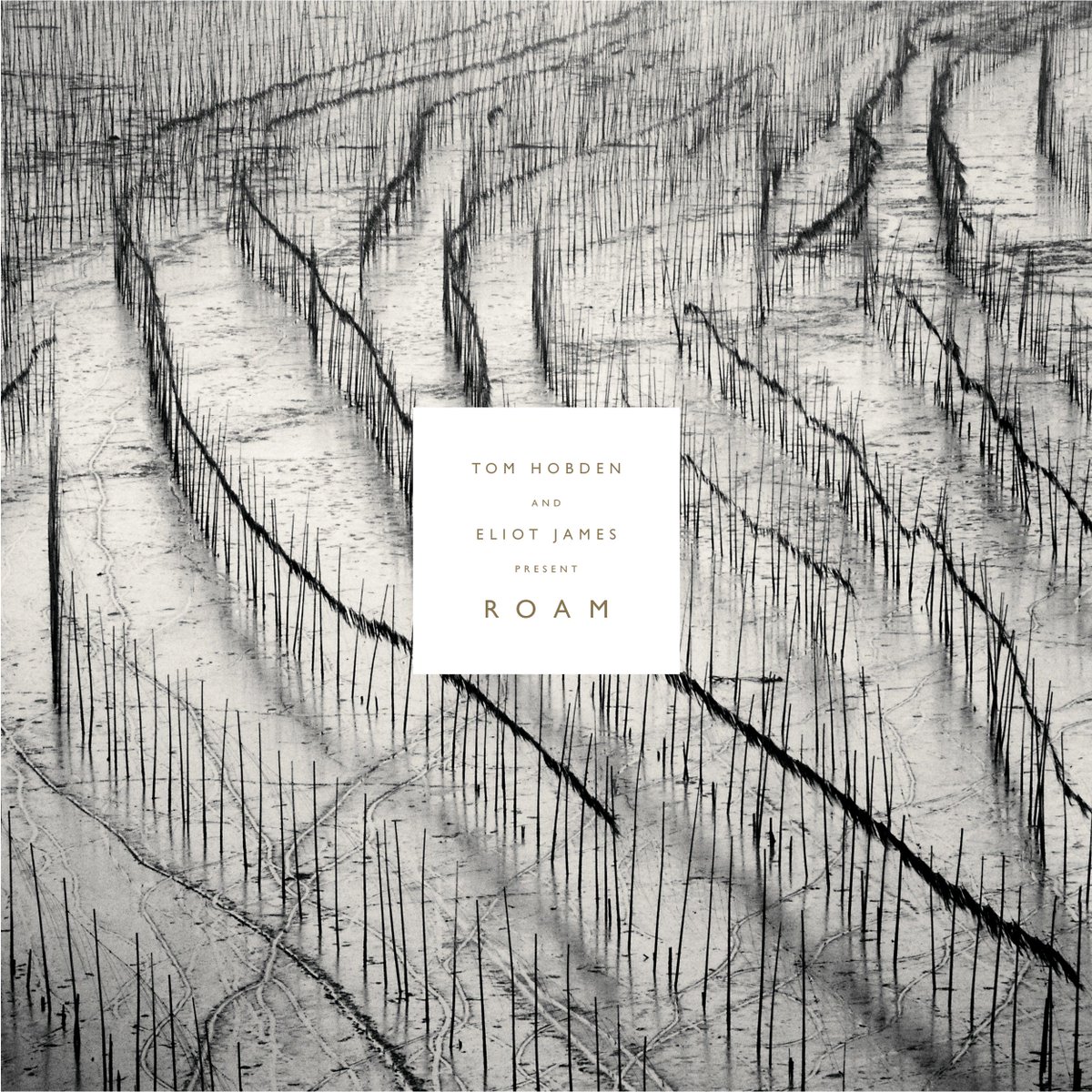 Very excited to announce 'Tom Hobden &amp; Eliot James Present: Roam'. LP/CD/DL out 16th June. More info here: bit.ly/2pNDeA6