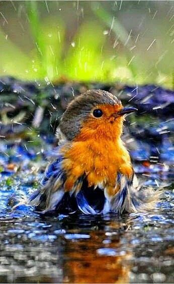 OneStopCareers's tweet photo. Shake off the working week and get ready for the weekend! https://t.co/PfV96zW7Fu