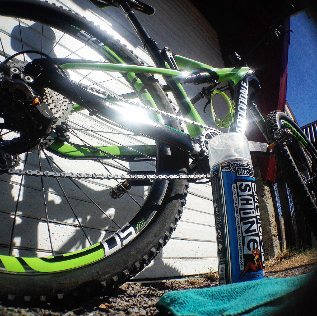 WeRideGreen's tweet photo. Pre race Scalpel shining 😎😎😎 https://t.co/G2eJwS0yYo
