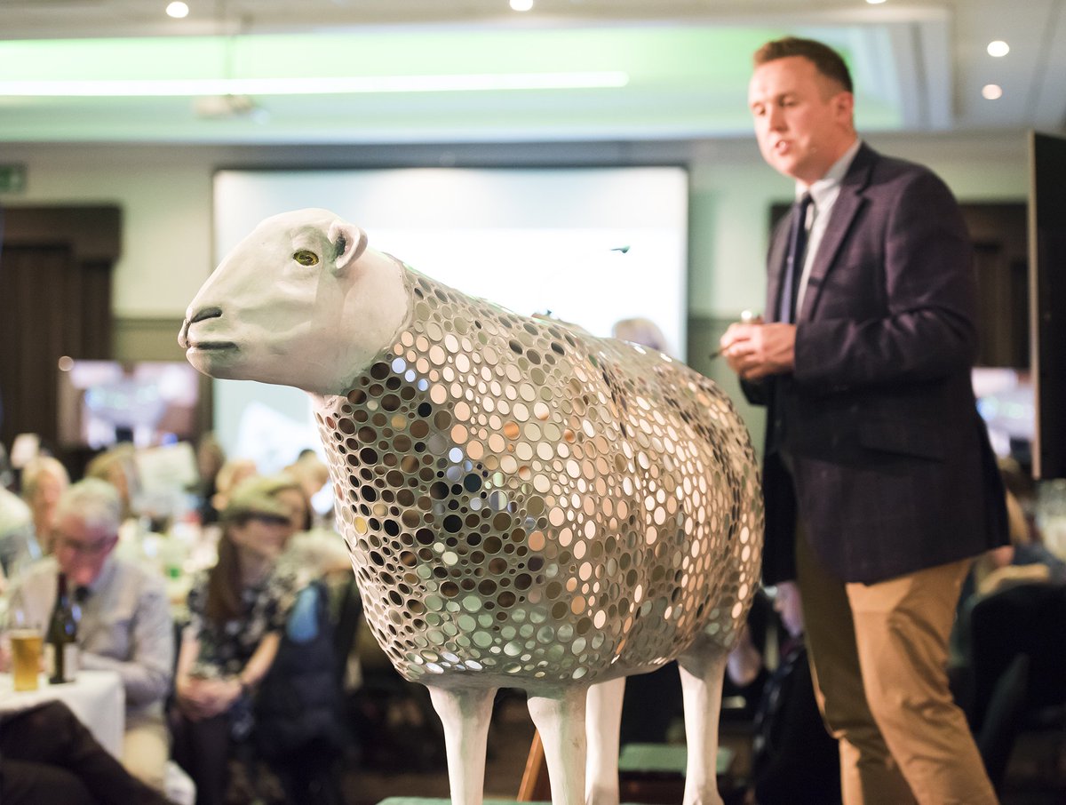 Go Herdwick tweet media