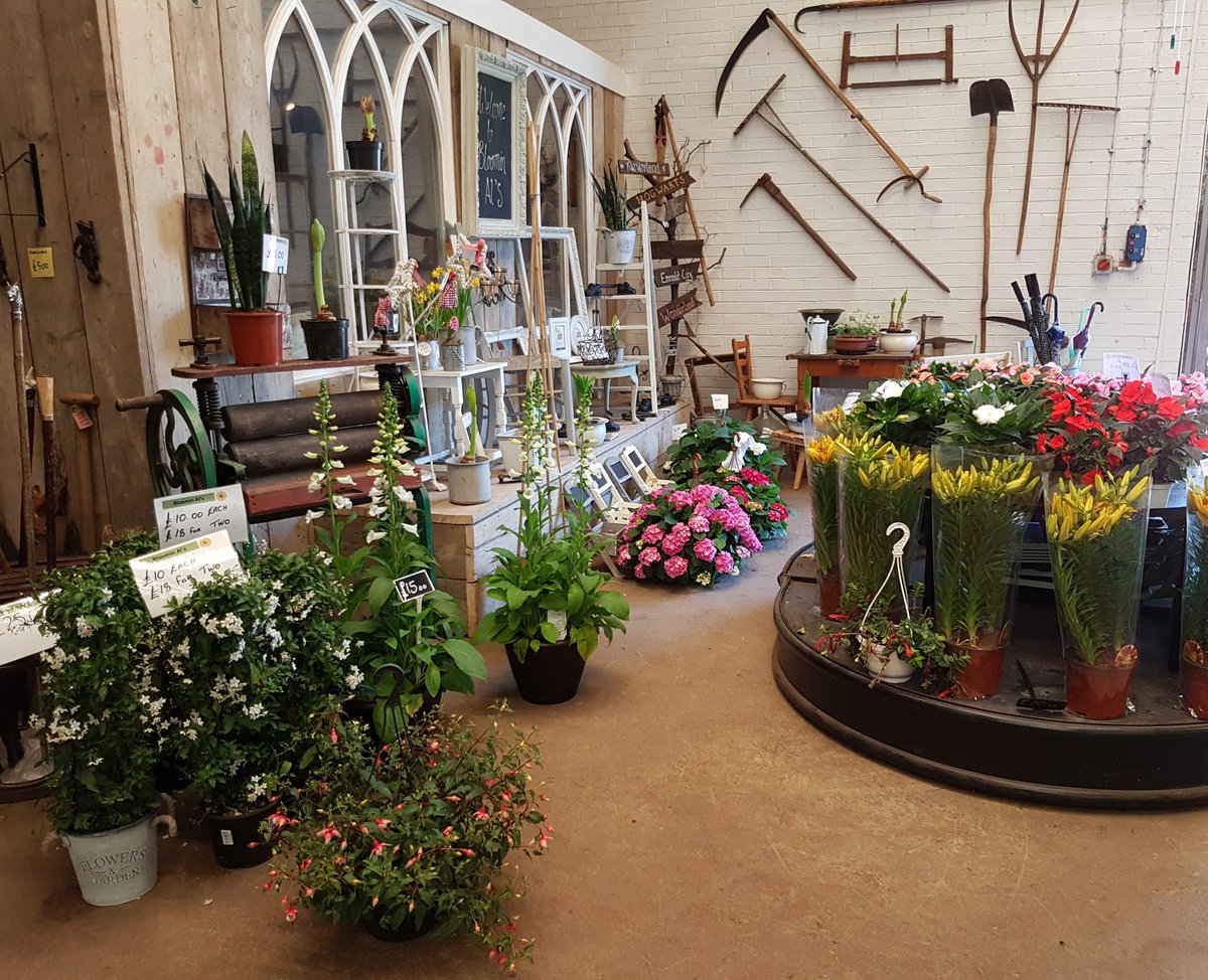 Bloomin Al's tweet media