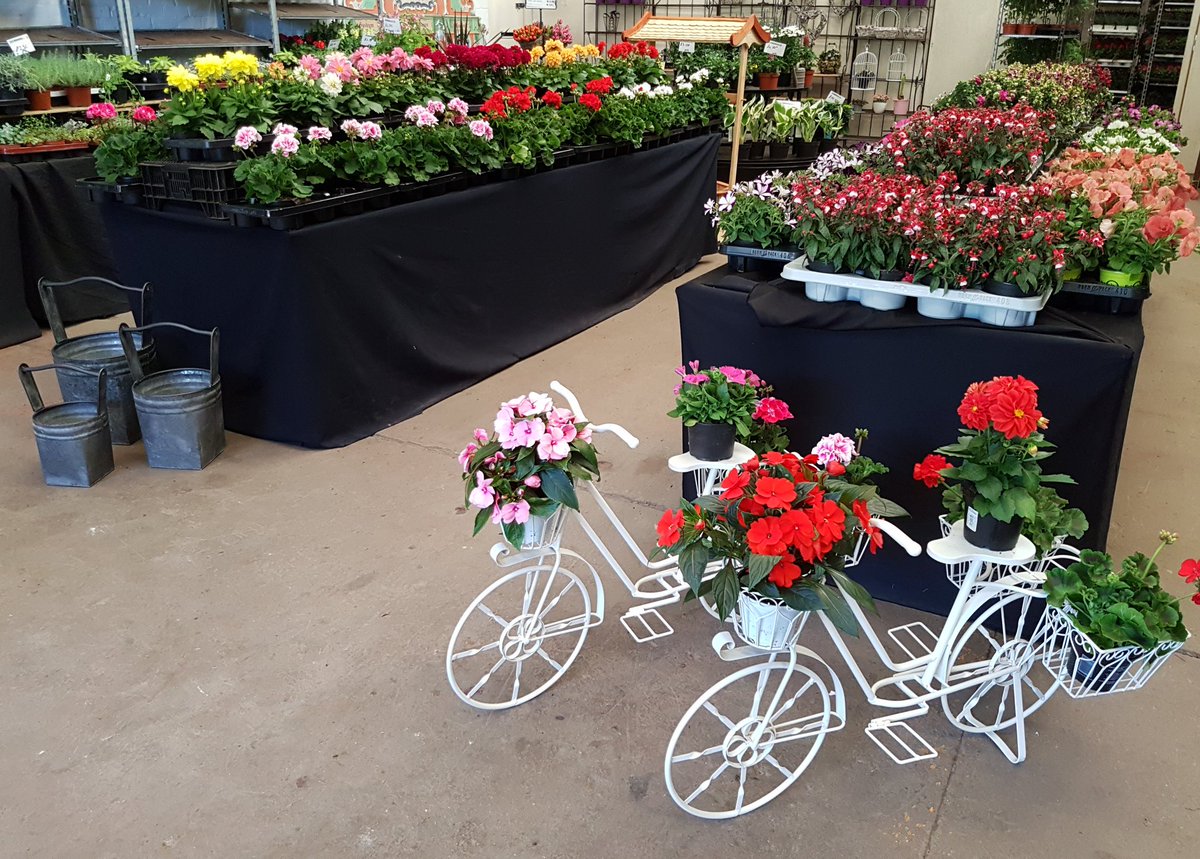 Bloomin Al's tweet media