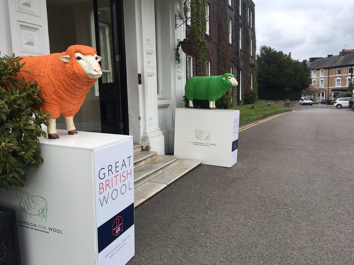 WoolProducers's tweet photo. Final day of #IWTO2017 and we're hearing about the potential benefits of merino #wool next to skin for eczema sufferers https://t.co/WSjvSJAXx3