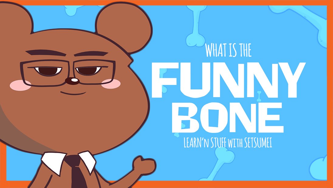 Why is the funny bone called the funny bone? youtu.be/GGTkuPfLnN4 #animation  #ulnarnerve #biology #trivia #bones