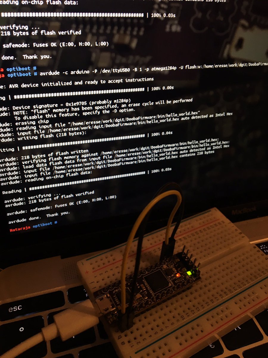 eresse_sigsegv's tweet photo. @dooba_io #ioNode is getting a bootloader! Check it out https://t.co/c0Uwqq08iH https://t.co/GC23BsHQ1r