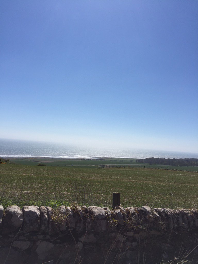 Carronhill's tweet photo. Dog walking ain't that bad today! https://t.co/Hv9P0jkfre