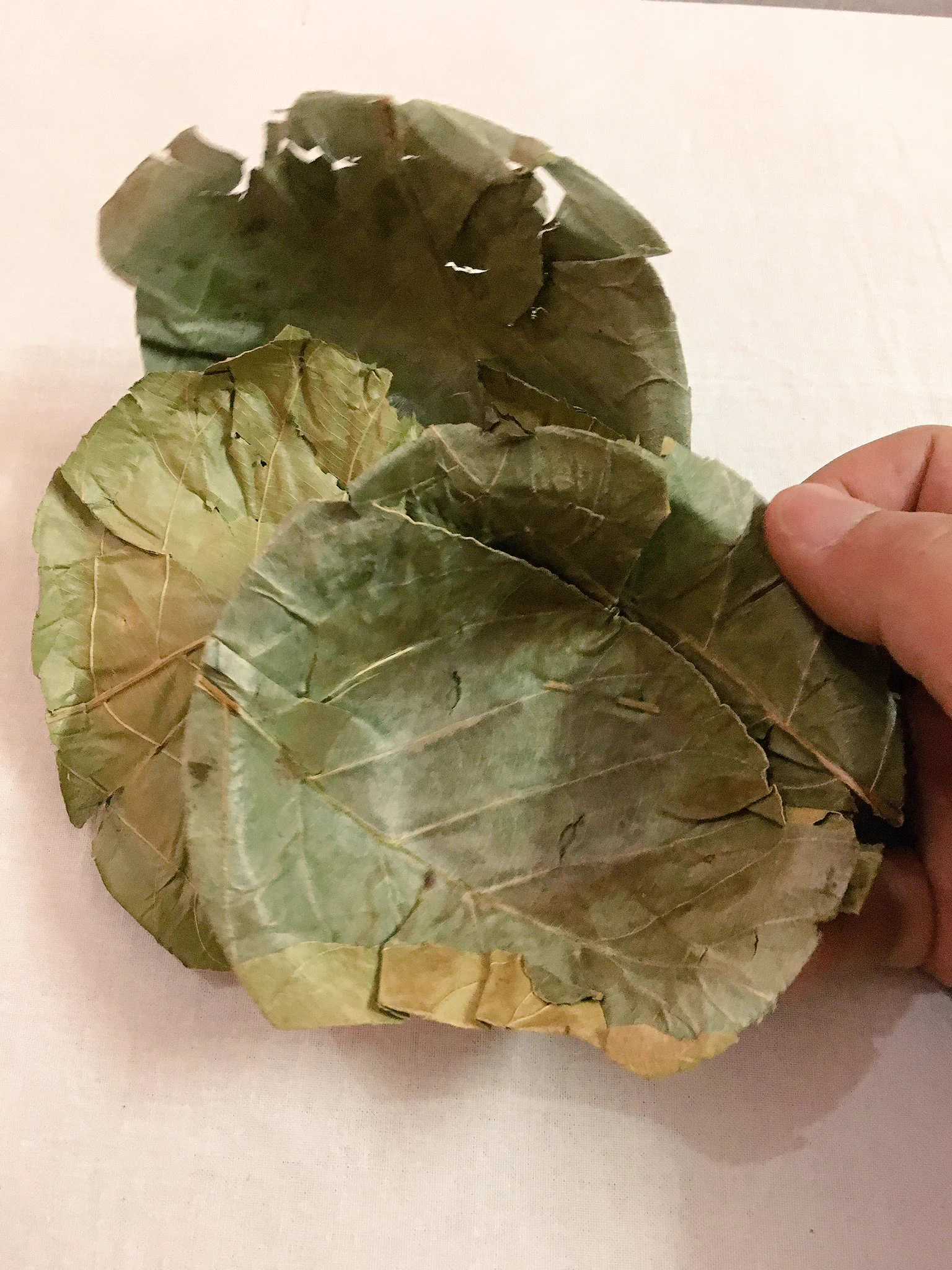 これぞ生活の知恵！インドの屋台で使用されている葉っぱのお皿がすごいｗｗｗ