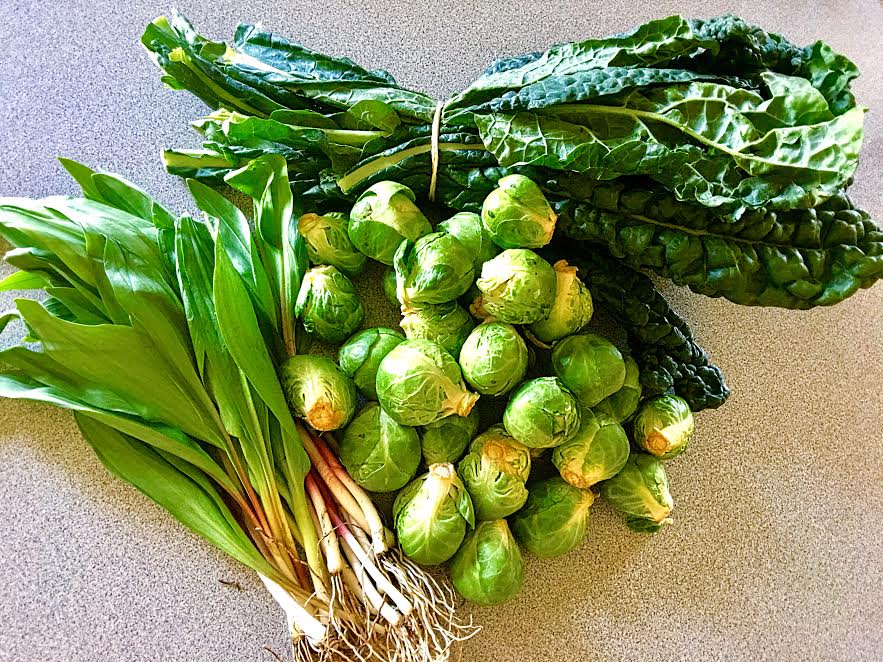 Crowdfire's tweet photo. “@maryslocalmarke is my way to encourage people to eat more whole, less processed foods,” says #Firestarter Mary 🍉 https://t.co/ezT4wq4QQM https://t.co/iBlVuNTs2U