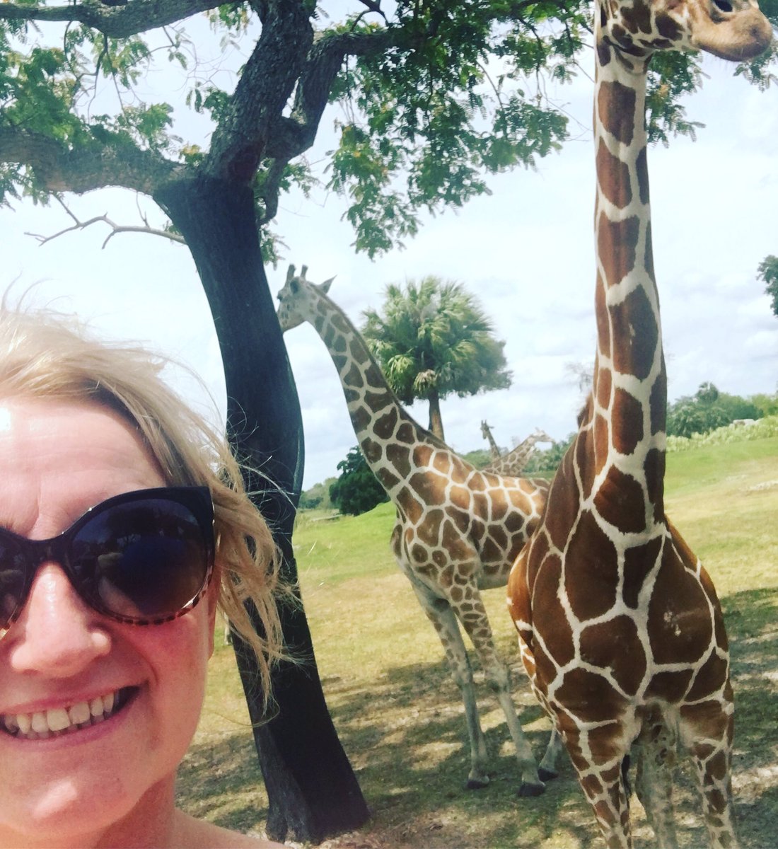 Best day at Busch gardens