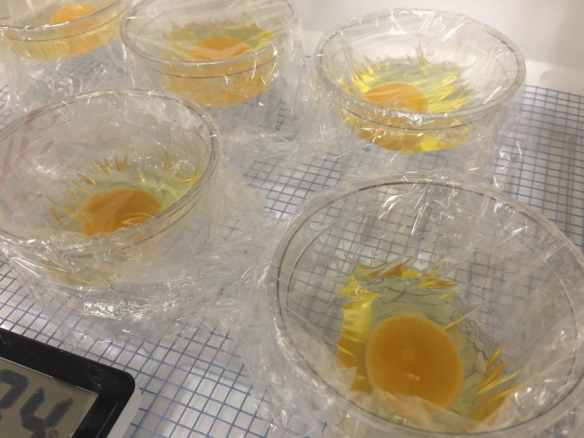 mrs_davisHUB's tweet photo. Kids wanted to try 2 different ways, so here we go! #shellless #hubbardeggjourney #lifescience @monroe_schools @Hubbard_Elem @Curtis_5th_Hub https://t.co/327MkVGuEo