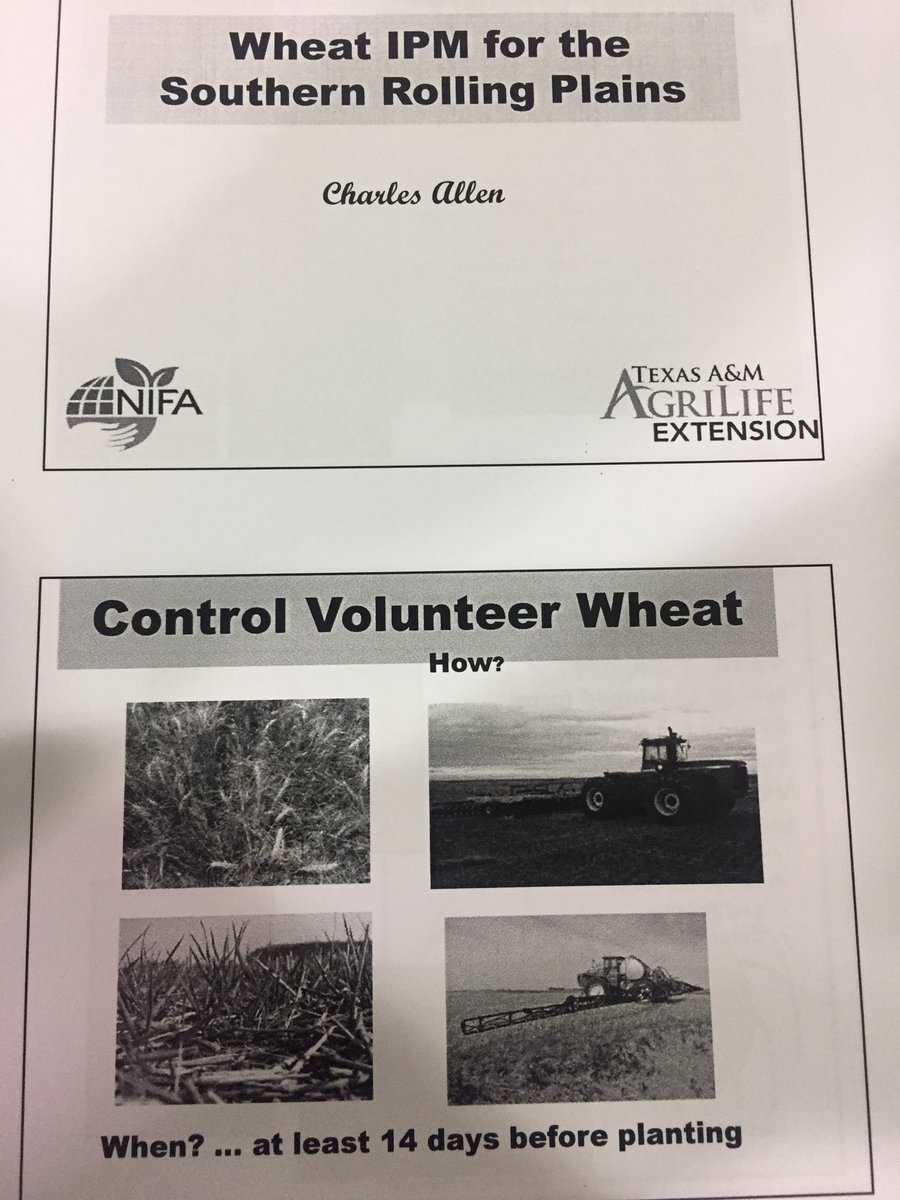 rwp_3's tweet photo. @txextension @eXRobertKPritz Dr Charles Allen discussing Wheat IPM for the Southern Rolling Plains @TexasWheat Market #AbileneTX #TxWheat https://t.co/ZO2hSrwO2D
