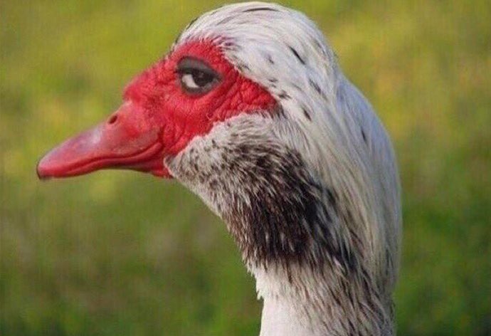 When someone asks for help using Excel.