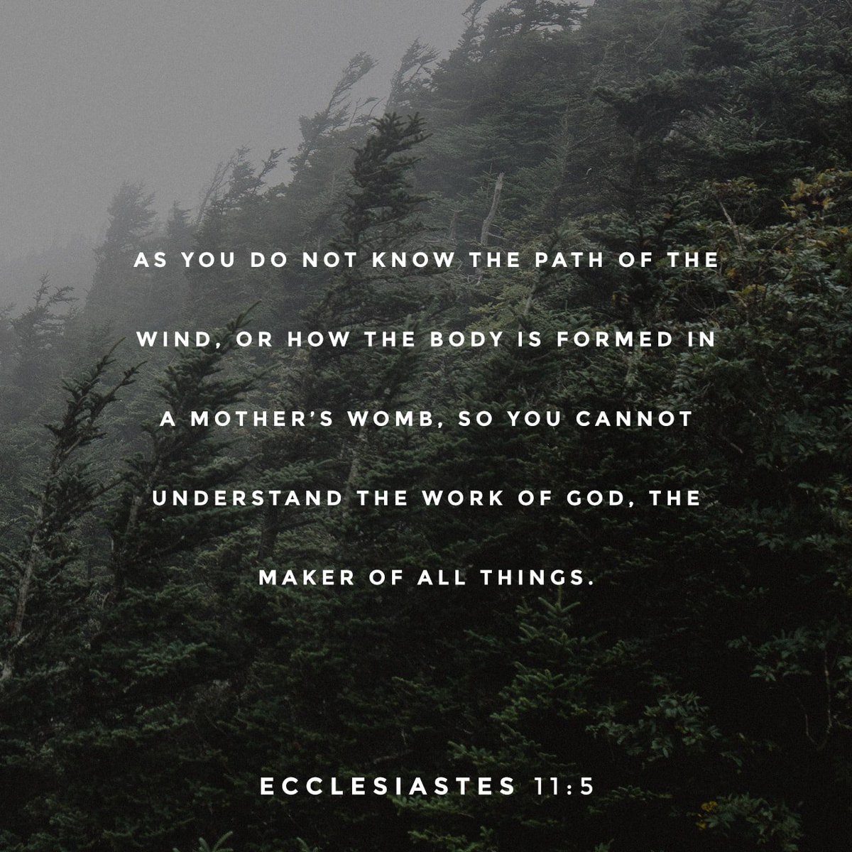 YouVersion's tweet photo. As you do not know the path of the wind ... so you cannot understand the work of God, the Maker of all things. https://t.co/xRcbgp6Q4y https://t.co/rAcFfgyzuL