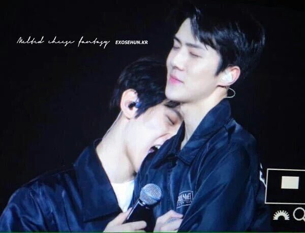 OhSeHunBR's tweet photo. [🐣] Sehun: "Baekhyun hyung é sensível a cheiros. Então ele só morde pessoas que possuem cheiro bom." #HappyBaekhyunDay https://t.co/YD2mtaN37c
