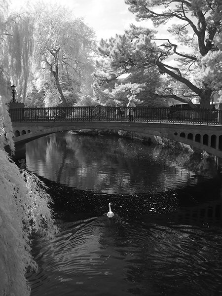 TomasTyner's tweet photo. Leave you with some calm before I head away #swan #river #campus @ucc @corkindo #darknessintolight #infrared #monochrome https://t.co/7LMgK5xbYZ