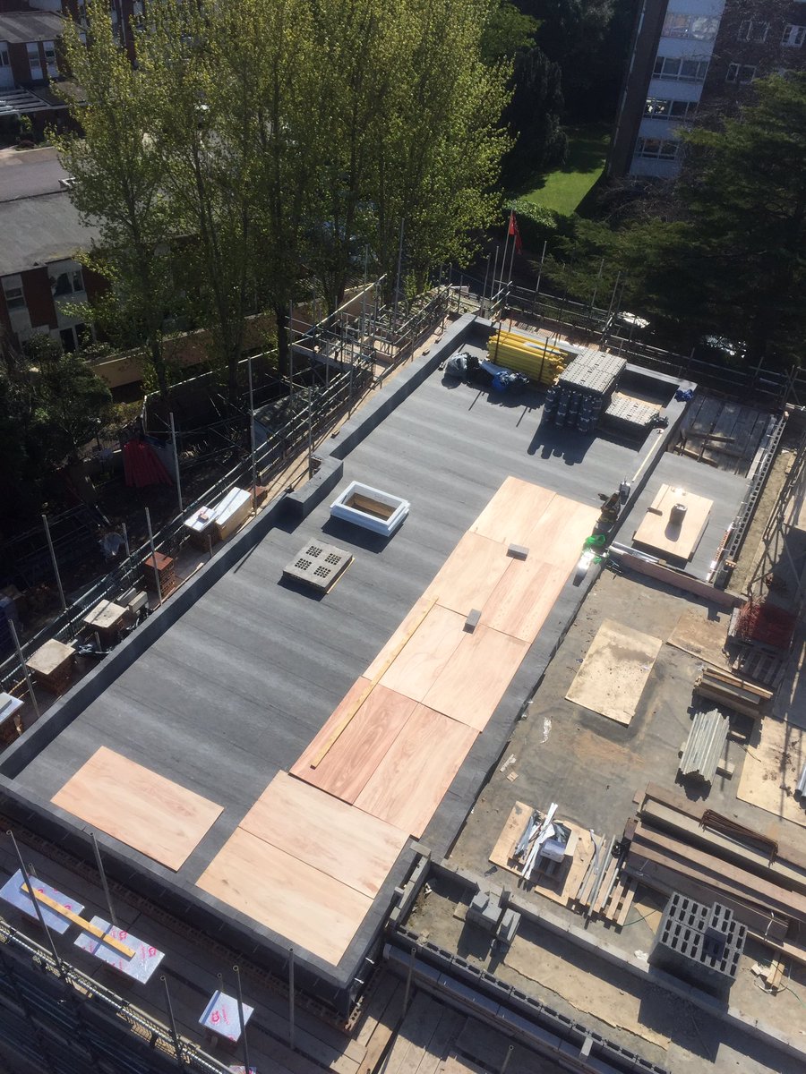 Daniel Russell tweet media