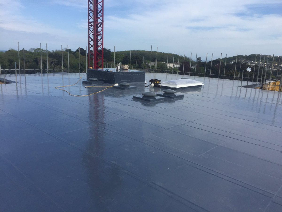 Daniel Russell tweet media