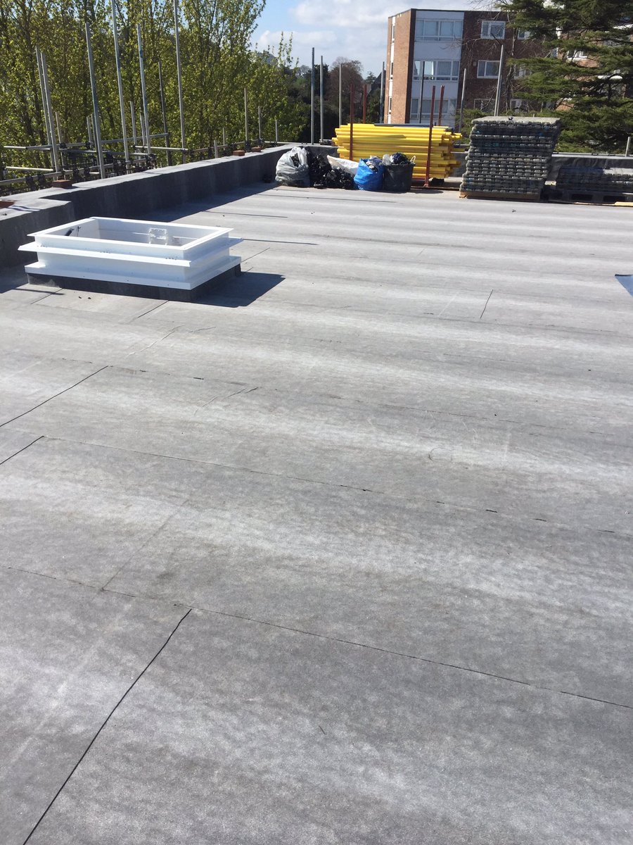 Daniel Russell tweet media