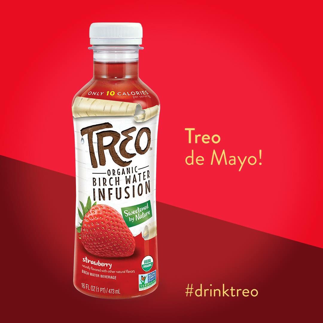 Treo Fruit & Birch Water, Organic, Strawberry - 16 fl oz