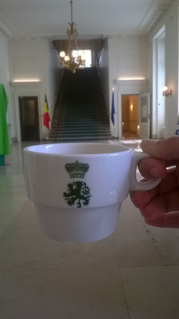 Serafina_vg's tweet image. Koffie in @DeKamerBE is ook nog tof. No cream, no sugar, no stress. #Plenum17