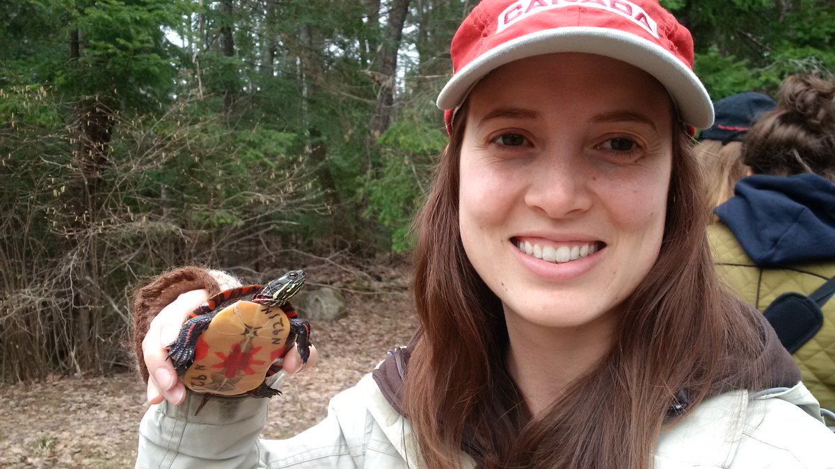 Field trip <a href="/Algonquin_PP/">Algonquin Provincial Park</a> for #Wildlife70 checking out long-term research projects on #herps <a href="/AlgonquinWRS/">Algonquin Wildlife Research Station</a>