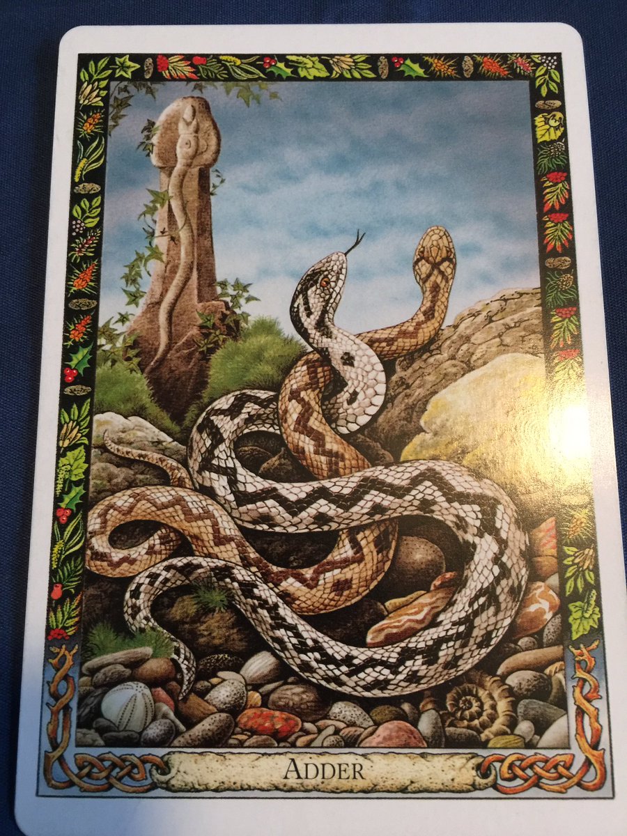 GhostQueenPara's tweet image. #DruidAnimalOracle Transformation, Healing, Life Energy